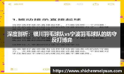 深度剖析：银川羽毛球队vs宁波羽毛球队的防守反打博弈