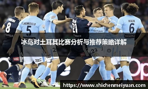 冰岛对土耳其比赛分析与推荐策略详解
